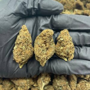 Hindu Kush